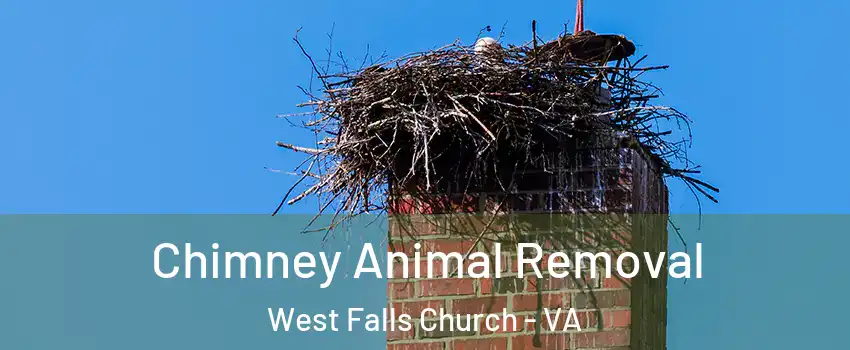  Chimney Animal Removal West Falls Church - VA