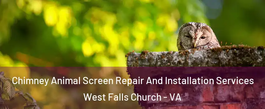  Chimney Animal Screen Repair And Installation Services West Falls Church - VA