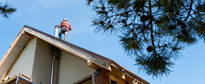 Birds Removal Contractors from Chimney in West Falls Church, VA