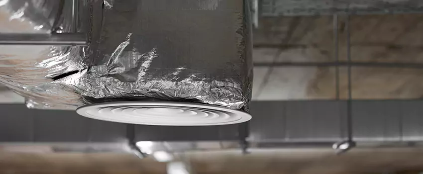 Signs of Dust Accumulation in Vents in West Falls Church, VA